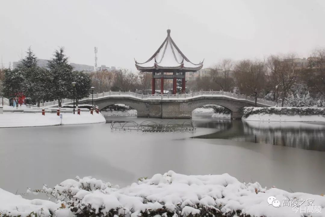 雪后望高陵